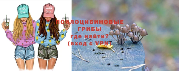 эйфоретик Михайловск