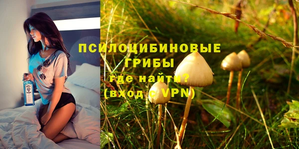 СК Михайлов