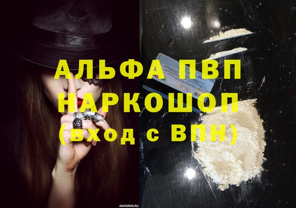 СК Михайлов
