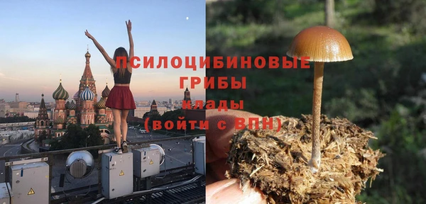 эйфоретик Михайловск