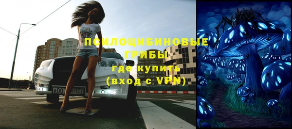 СК Михайлов