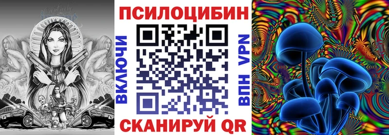 где найти   Бирюсинск  Галлюциногенные грибы мухоморы 